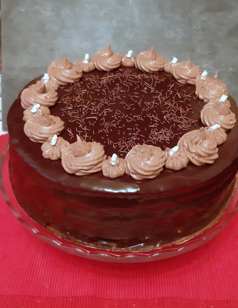 Desert tort amandina