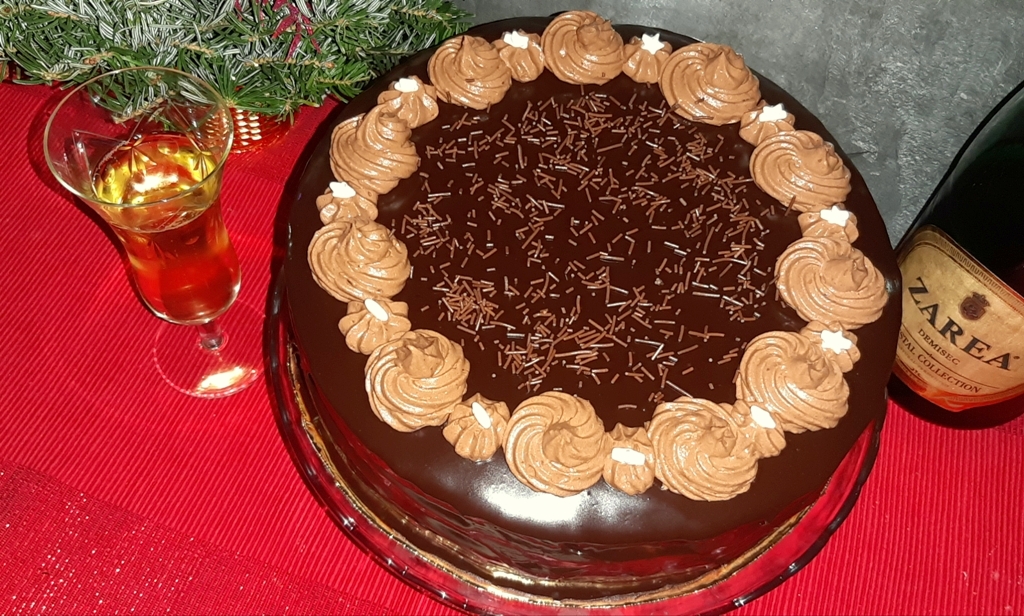 Desert tort amandina