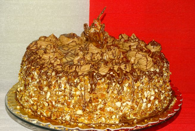 Desert tort M