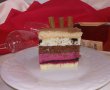 Desert tort Castel-16