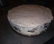 Desert tort Oreo-3