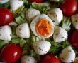 Salata cu mini mozzarella si rosii cherry-13