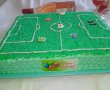 Desert tort teren de fotbal-5