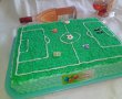 Desert tort teren de fotbal-10