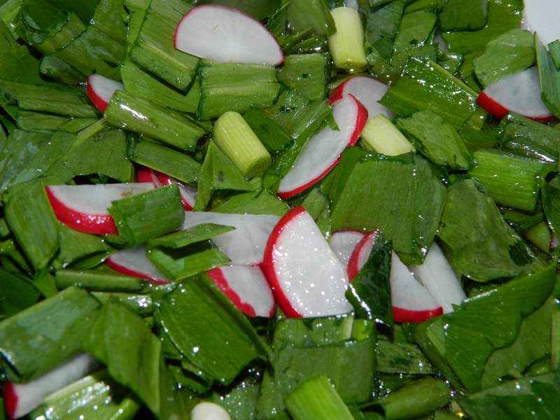 Salata de leurda