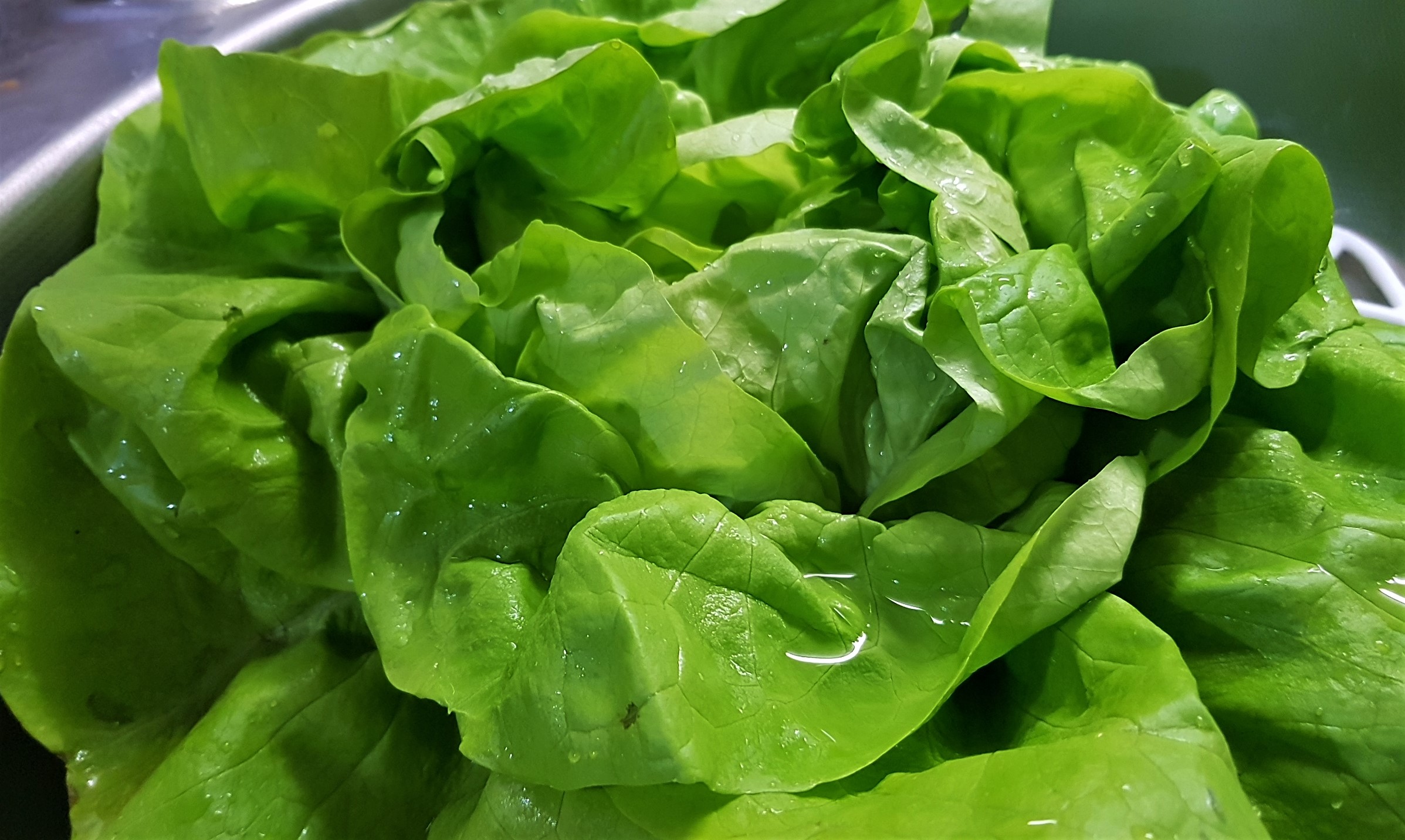 Ciorba de salata verde cu afumatura si smantana