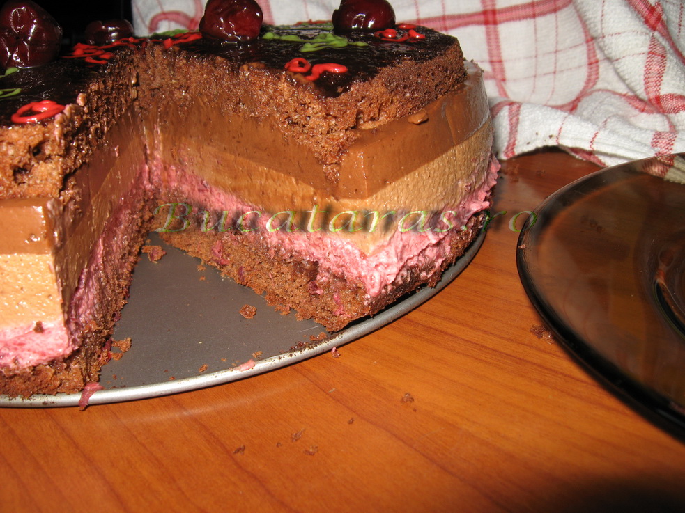 Tort cu mousse de visine si ciocolata