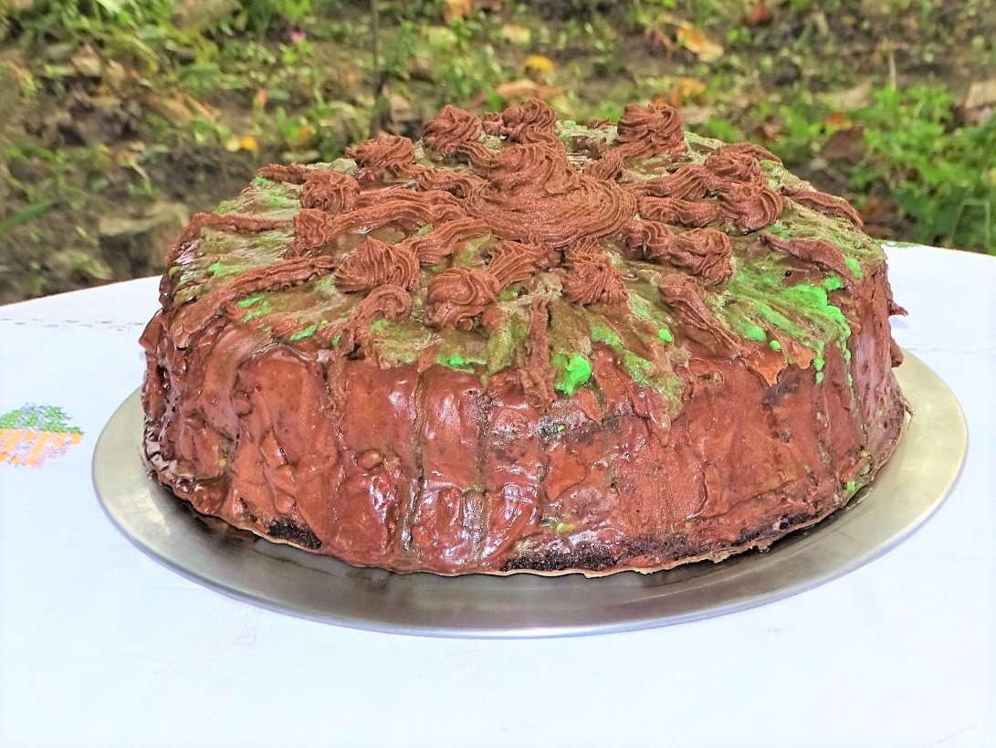 Desert tort 52