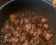 Sticky Chinese pork-7