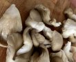 Sandvis cald cu cascaval, spanac si ciuperci pleurotus-4