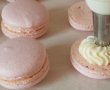 Desert macarons cu crema de branza-12