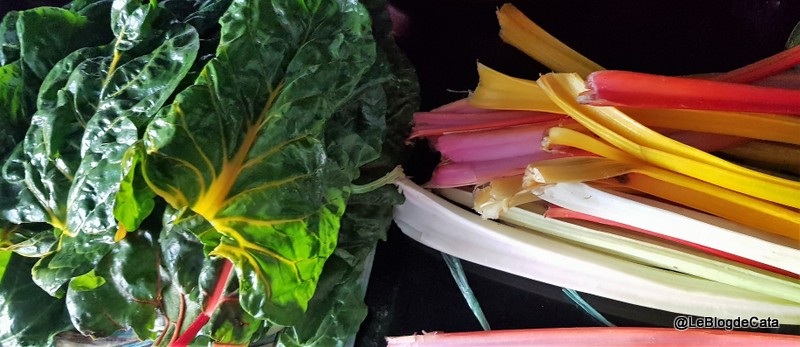 Placinta cu carne si frunze de mangold (swiss chard)