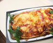 Lasagna inedita-16