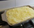 Lasagna speciala-7