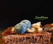Pancakes cu ciocolată și afine - Desert irezistibil de gustos-0