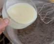 Prajitura cu mango si pralina cu alune de padure-9