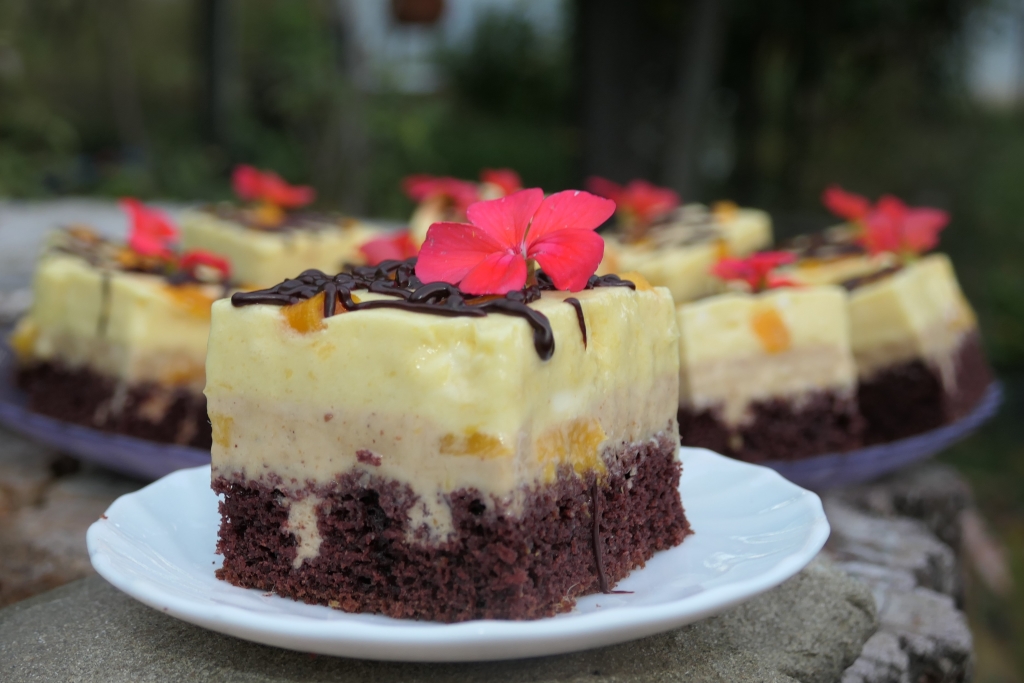 Prajitura cu mango si pralina cu alune de padure