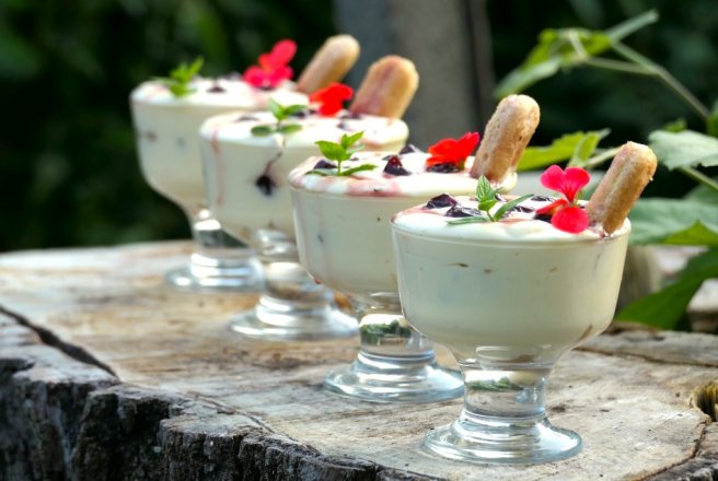 Desert Amarela