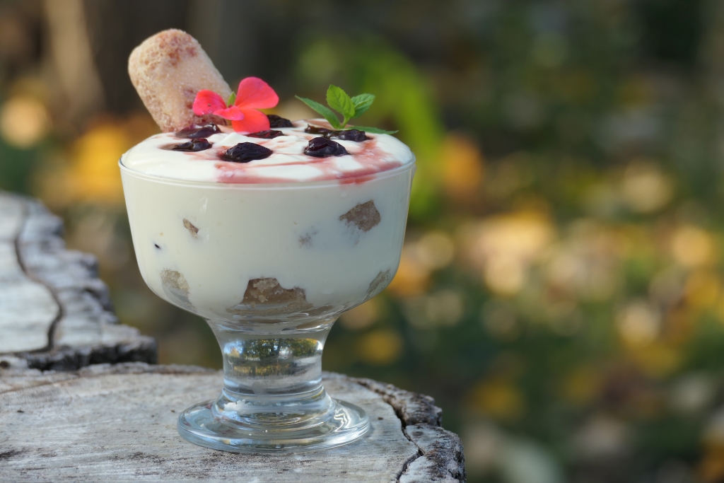 Desert Amarela